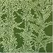 ALCACHOFA (輸入盤)