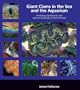 Giant Clams in the Sea and the Aquarium