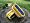 Yellow/Blue