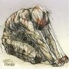 Nodes of Ranvier