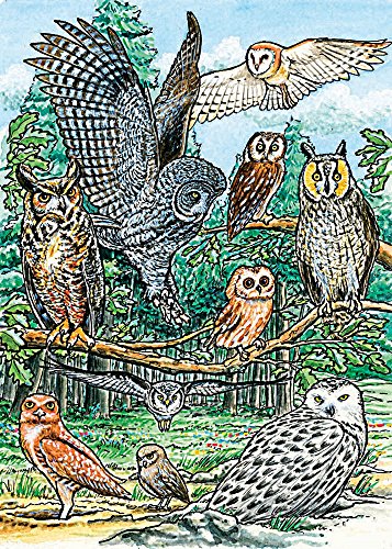 North American Owls, A 35-Piece Tray Puzzle by Cobble Hill