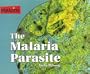 Parasites! - The Malaria Parasite