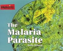 The Malaria Parasite