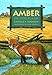 Amber: The Story of A Red Fox