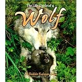 the life cycle of a wolf