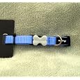 Red Dingo Dog Collar, Small, Mid-Blue