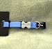 Red Dingo Dog Collar, Small, Mid-Blue