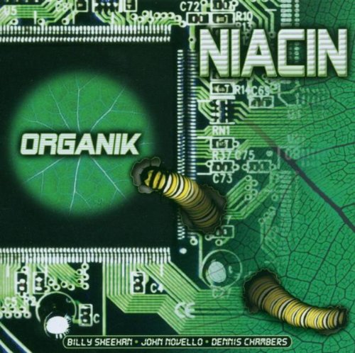 Niacin - Organik - Zortam Music