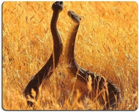 Animal Wildlife Snake Grassland Yellow Couple Rattlesnake Viper mousepad with wrist rest mouse pad wrist 7.5*9 inch