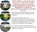 Book The Mega Generate Extra Cash, Success Principles and Biz Networking for Used Wedding Gowns Businesses 3 CD Combo Pack
