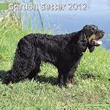Gordon Setter Wandkalender 2012 [Kalender]