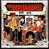 Iguanas thumbnail