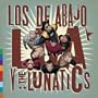 Lda Vs Lunatics