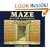 Maze: Solve the World's Most Challenging Puzzle