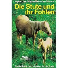Die Stute und ihr Fohlen