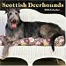 Scottish Deerhounds 2006 Wall Calendar