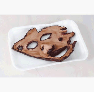 Peeled Off Face Flesh Meat Tray Halloween Prop (B579)