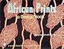 African Prints (Schiffer Book for Designers and Collectors)