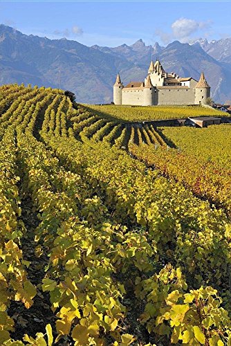 Chateau Among the Vineyards Valais Switzerland Journal: 150 page lined notebook/diary
