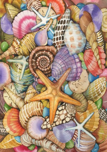 Toland Home Garden  Shells of The Sea 12.5 x 18-Inch Decorative USA-Produced Garden Flag