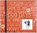 Colorbok 8-Inches x 8-Inches  Postbound Album with Window, Dog