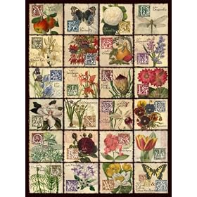 Vintage Flora