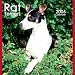 Rat Terriers 2006 Calendar