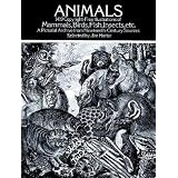 Animals: 1,419 Copyright-Free Illustrations of Mammals, Birds, Fish, Insects, etc (Dover Pictorial Archive)