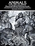 Animals: 1419 Copyright-Free Illustrations of Mammals, Birds, Fish, Insects, Etc.
