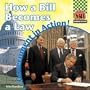 How a Bill Becomes a Law (Government in Action!)