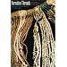 Narrative Threads: Accounting and Recounting in Andean Khipu (Joe R. and Teresa Lozano Long Series in Latin American and Latino Art and Culture)