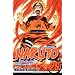 Naruto, Vol. 26: Awakening