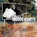 They Call Me Muddy Waters