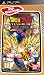 Dragon Ball Z : Tenkaichi Tag Team - collection essentiels