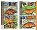 A Swift Guide To Butterflies of North America