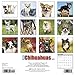 2016 Just Chihuahuas Wall Calendar