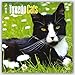 Tuxedo Cats 2016 Calendar