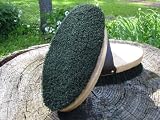 LEGENDS Dyed Horsehair Bristle Body Brush