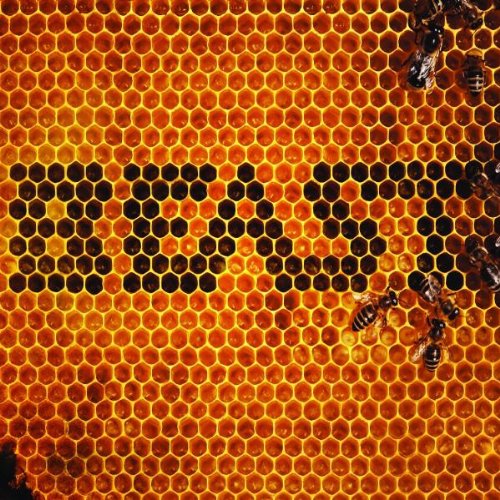 Produkt-Bild: Beast