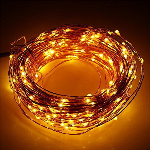 ER CHEN(TM) 66ft Led String Lights,200 Led Starry Lights on 20m Copper Wire String Lights + 12V DC Power Adapter(Warm White)