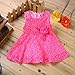 Rorychen Baby Girls' Sleeveless Lace Zipper Dress 18 Months Pink