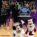 東京ディズニーランド エレクトリカルパレード・ドリームライツ クリスマス