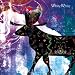 white,white(初回限定盤)(DVD付)