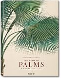 The book of palms = Das Buch der Palmen = Le livre des palmiers