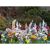 Détails sur le produit