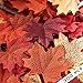 YHmall 300 Assorted Mixed Fall Colored Artificial Maple Leaves for Weddings, Events and Decorating