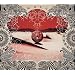 Kyutai [CD+Dvd] [Type B]