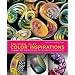Polymer Clay Color Inspirations: Techniques and Jewelry Projects for Creating Successful Palettes