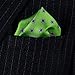 HISDERN Men's Floral Pocket Square Handkerchief