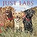 2016 Just Labs Wall Calendar